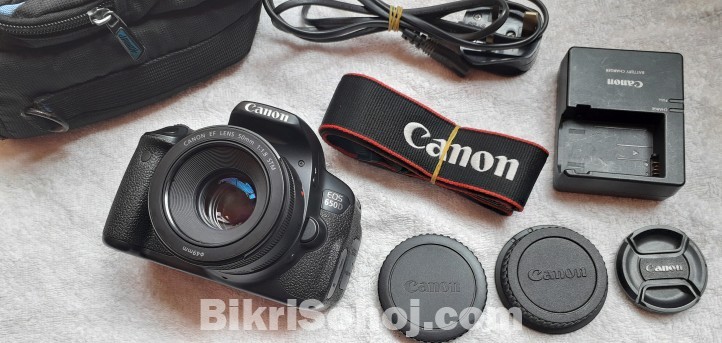 canon 650d with 55mm stm prime lens